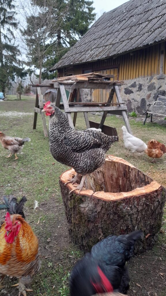 20250416 182558 scaled.jpg