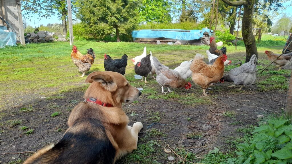 20250517 100213 scaled.jpg