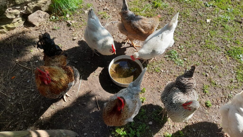 20250525 163854 scaled.jpg