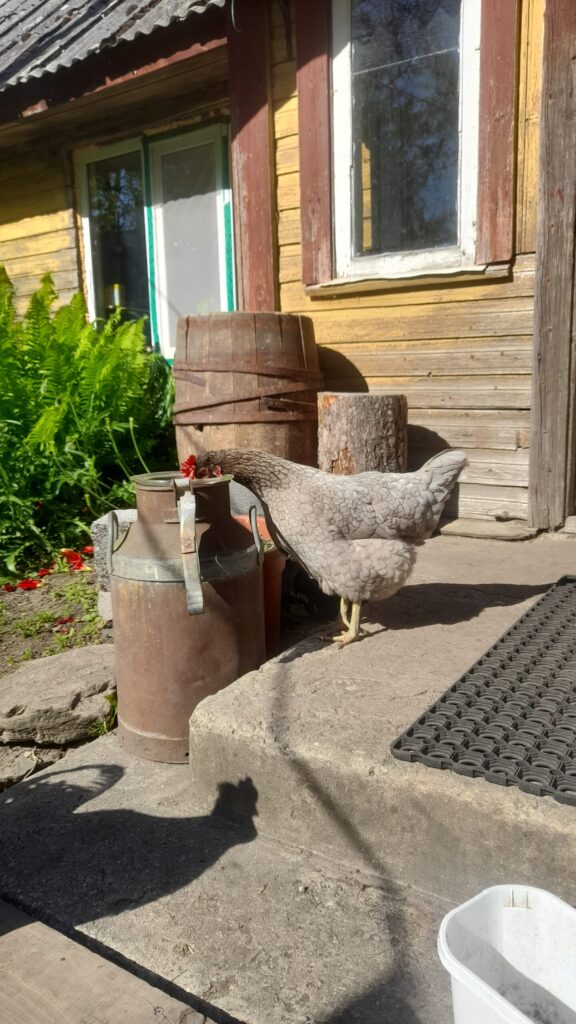 20250527 165603 scaled.jpg