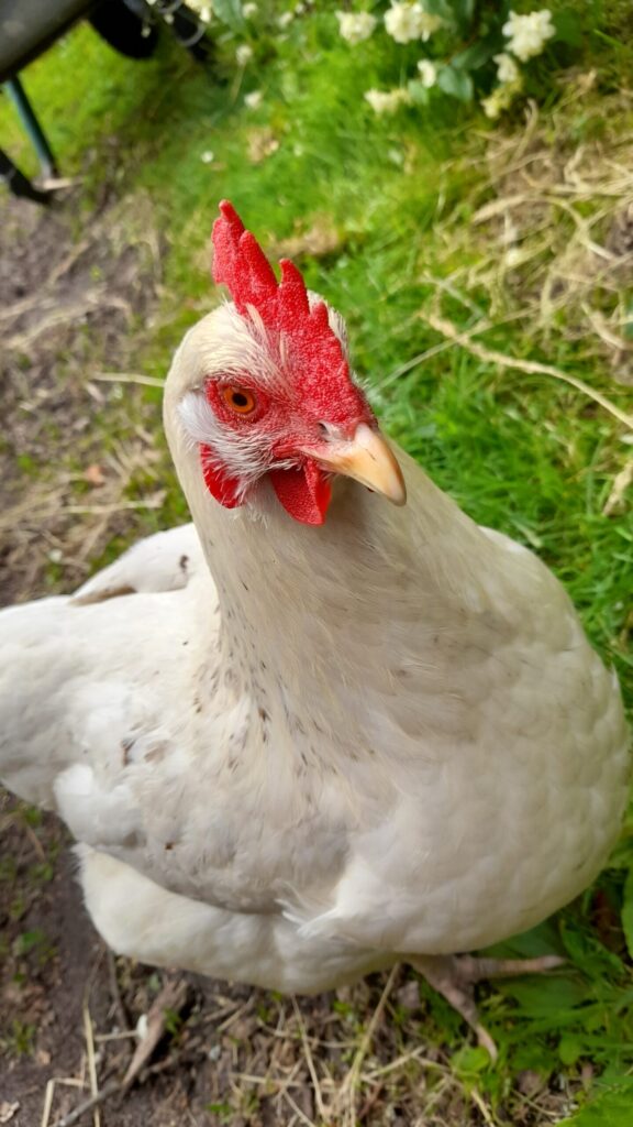 20250624 164225 scaled.jpg