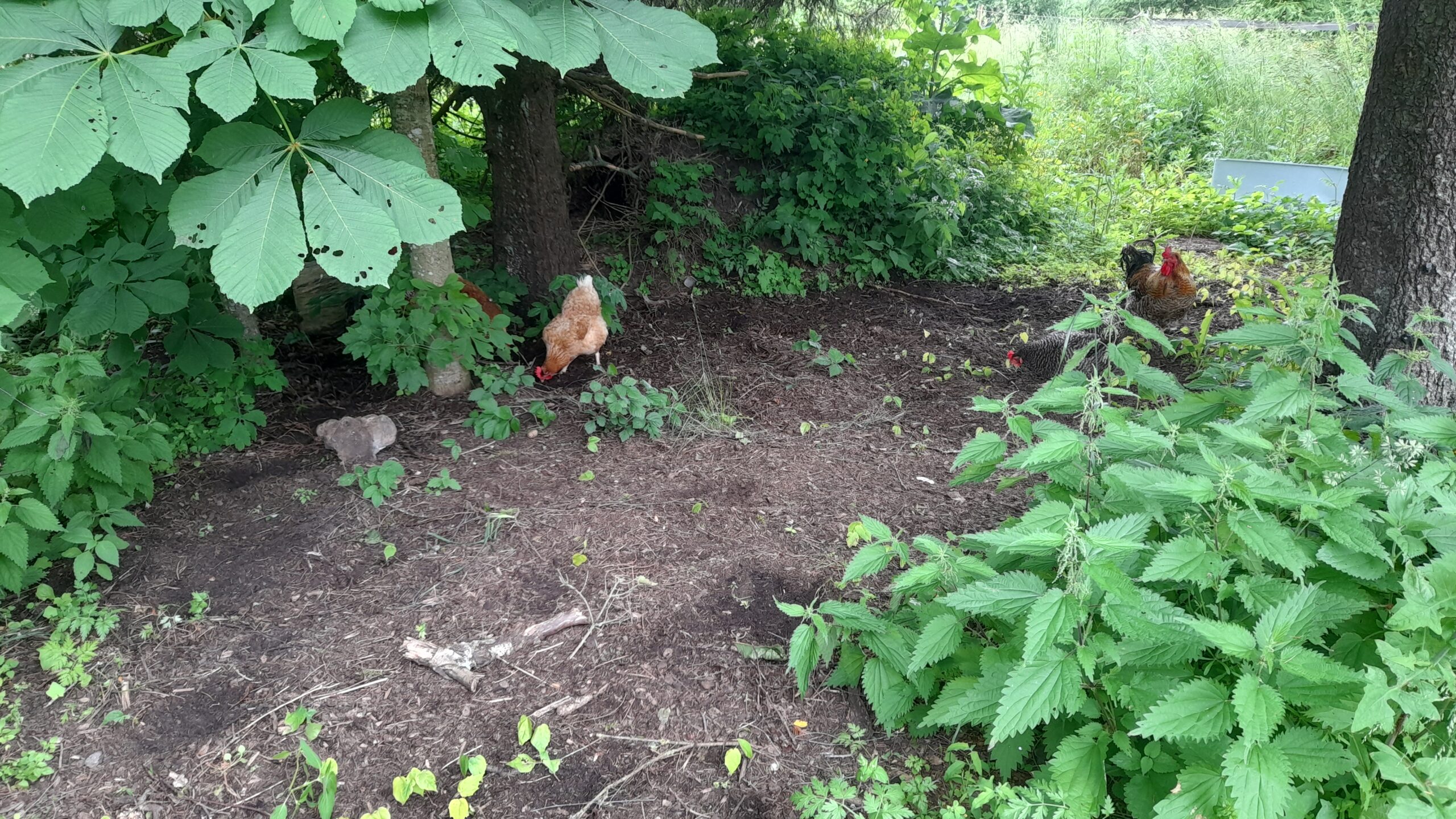 20250625 125758 Scaled