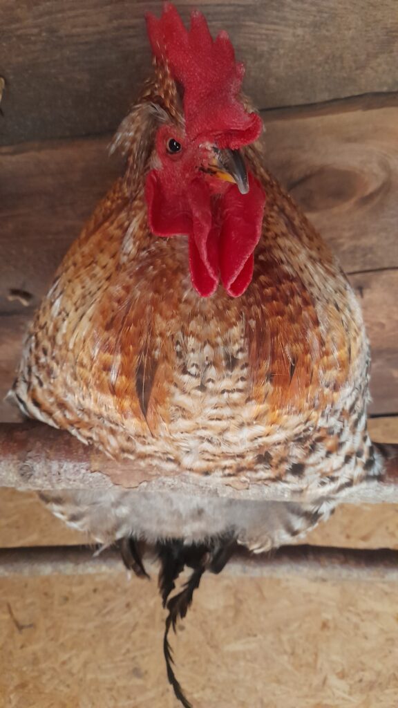 The Art of Drawing Readers In: Your attractive post title goes here