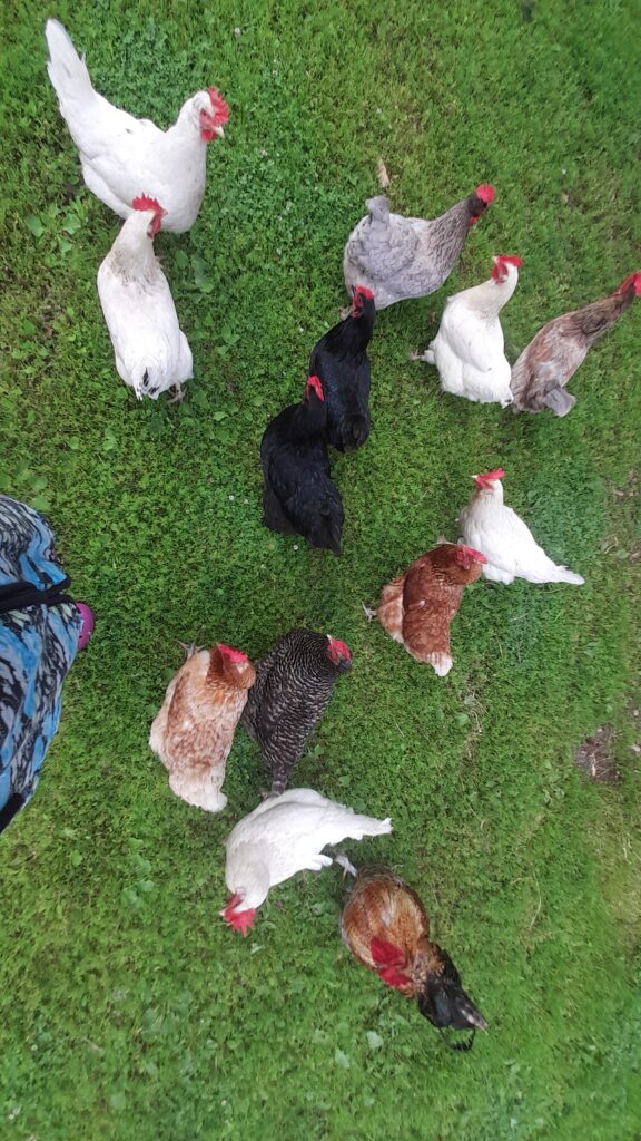 Mastering the First Impression: Your intriguing post title goes here