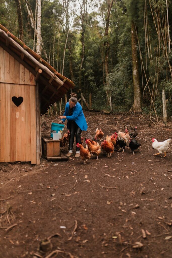 Adult woman feeding chickens outdoors next to wooden coop in a rustic forest setting.